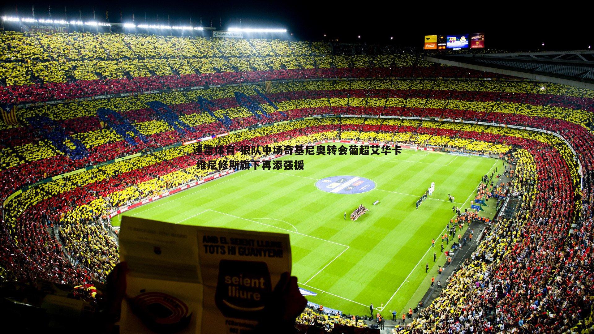 狼队中场奇基尼奥转会葡超艾华卡 维尼修斯旗下再添强援